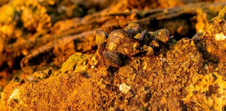 Produção de minerais estratégicos do Brasil cai desde 2017, diz estudo.